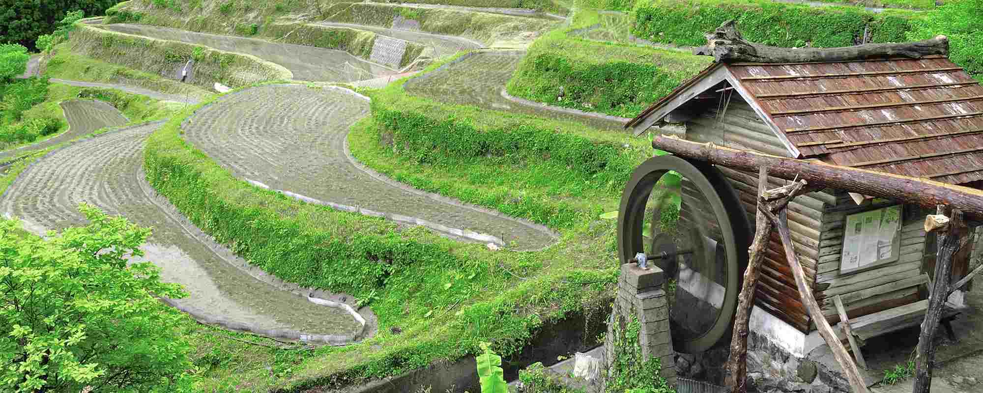 樫原の棚田