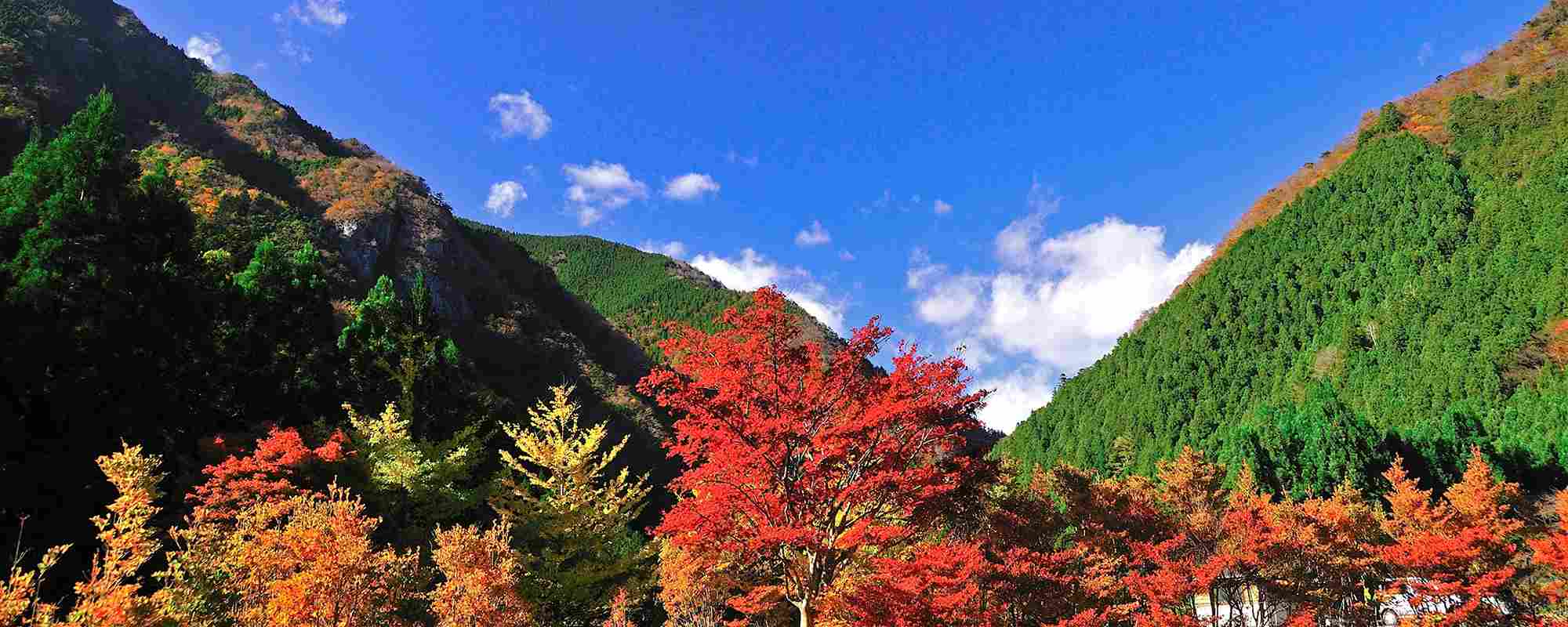 高の瀬峡