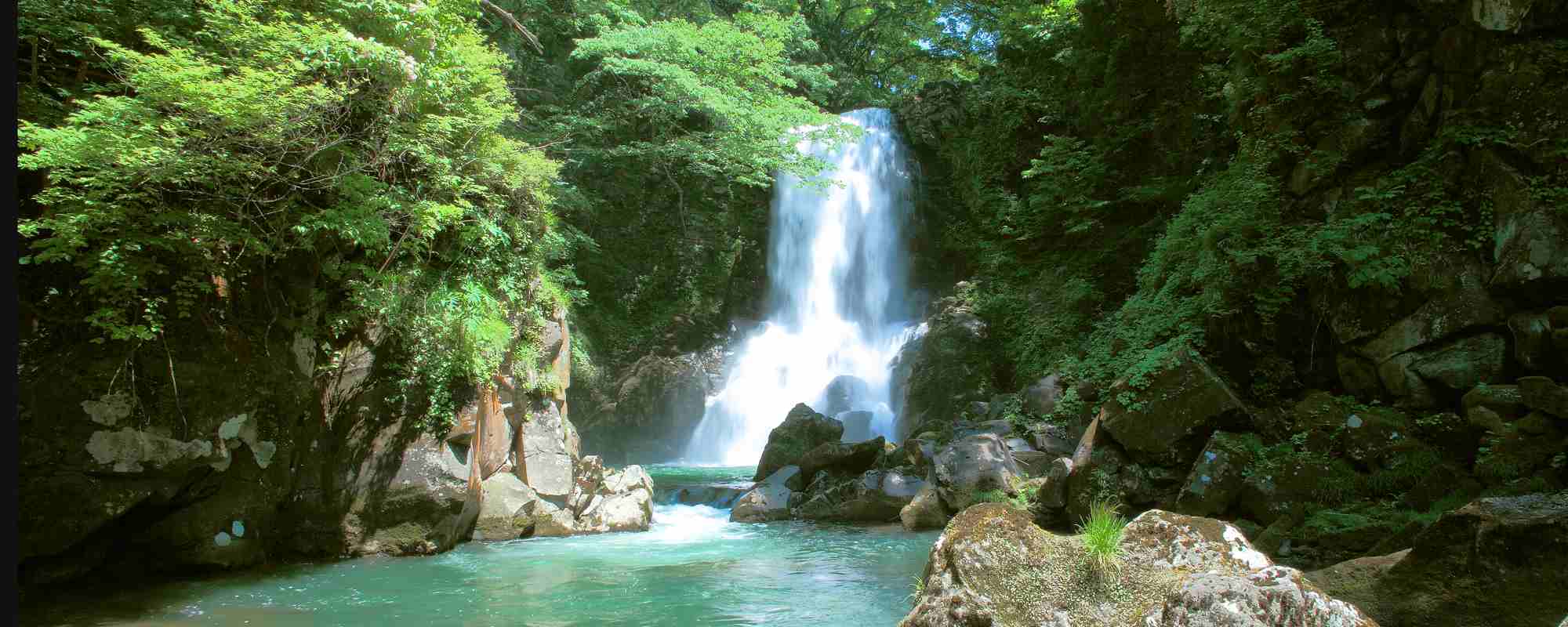 奈曽の白滝