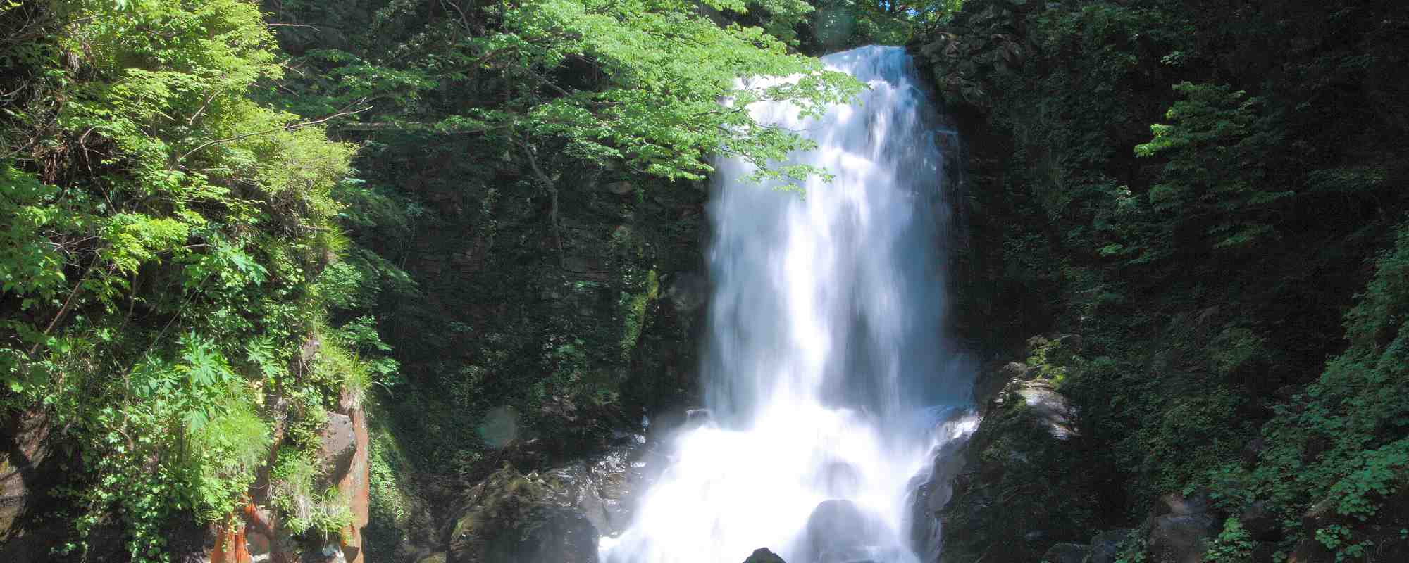 奈曽の白滝