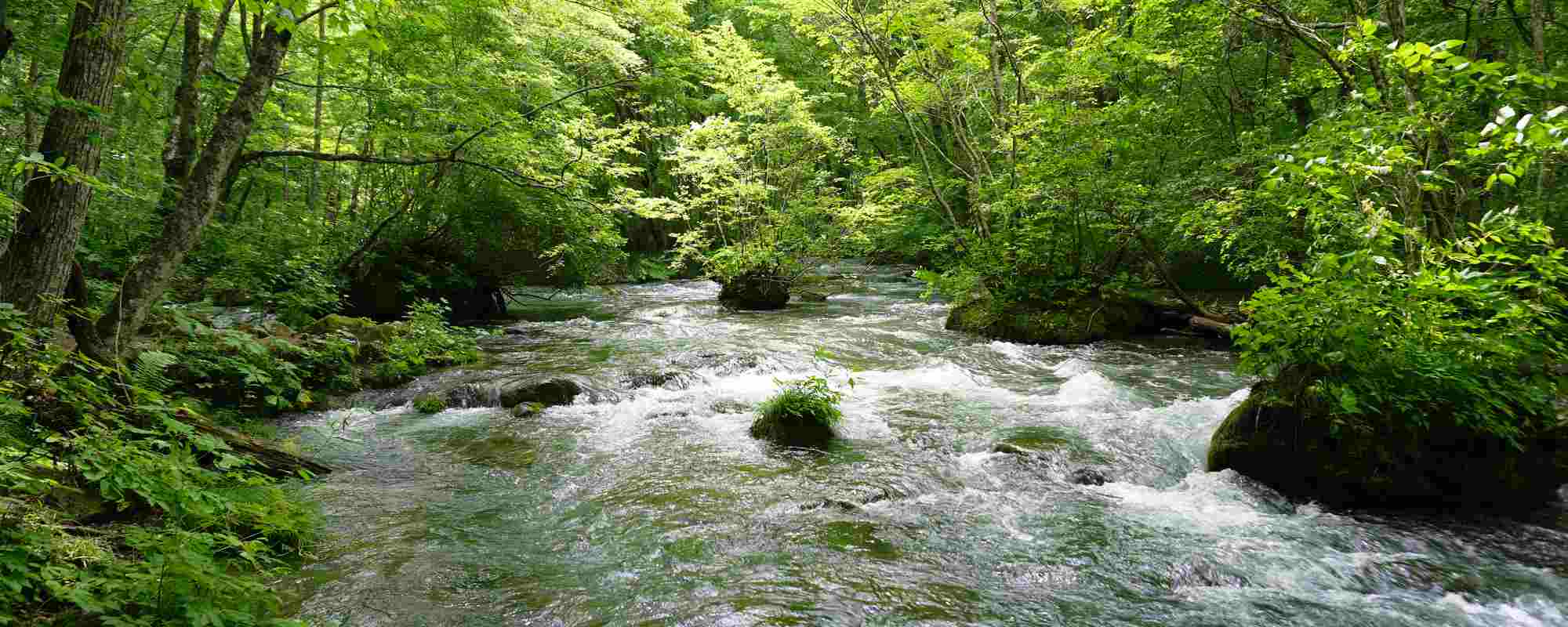 奥入瀬渓流