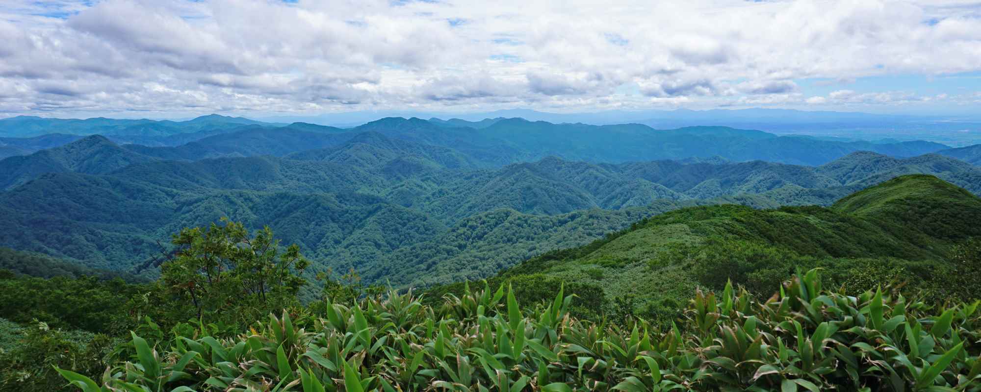 白神山地