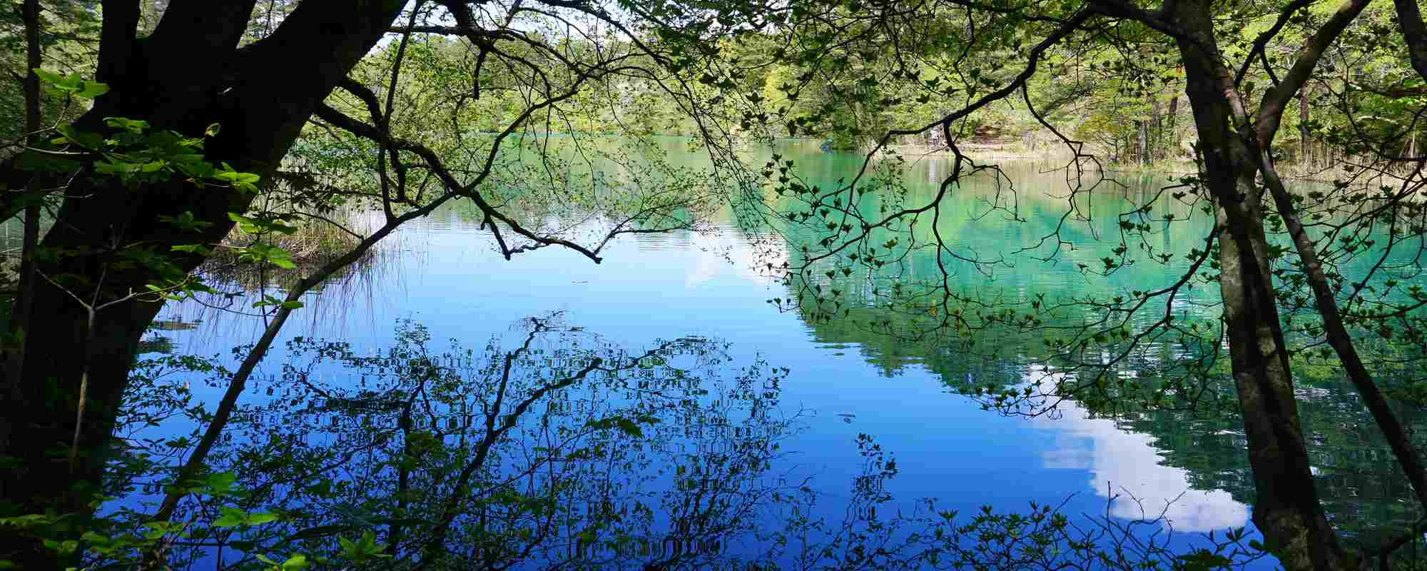 五色沼湖沼群