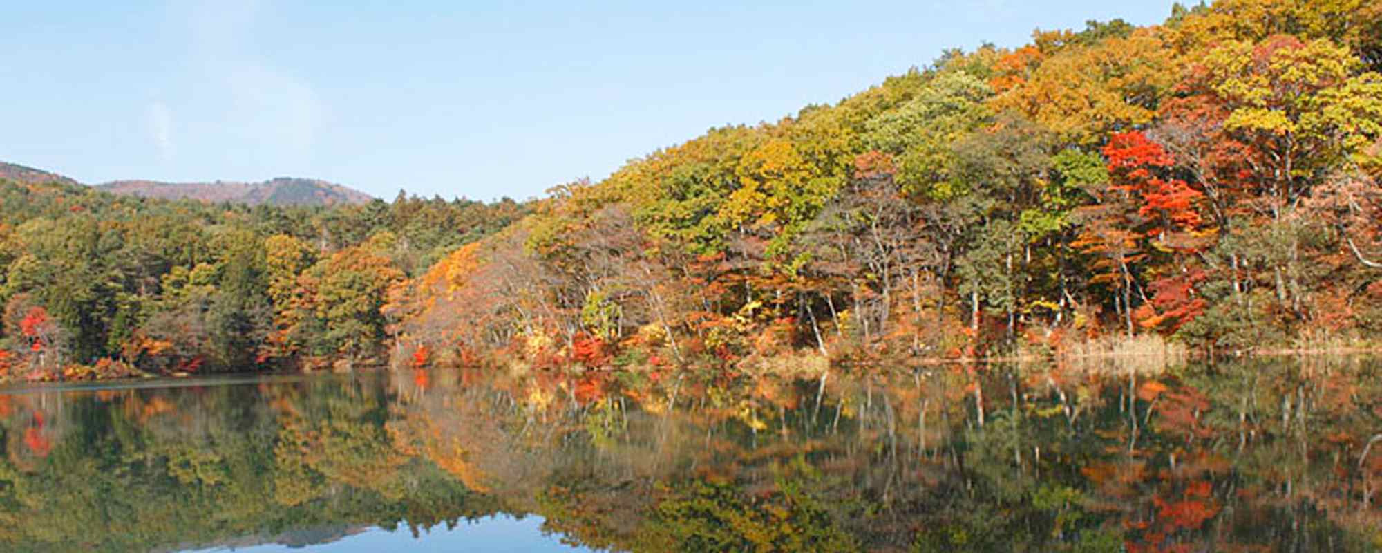 男沼・女沼・仁田沼