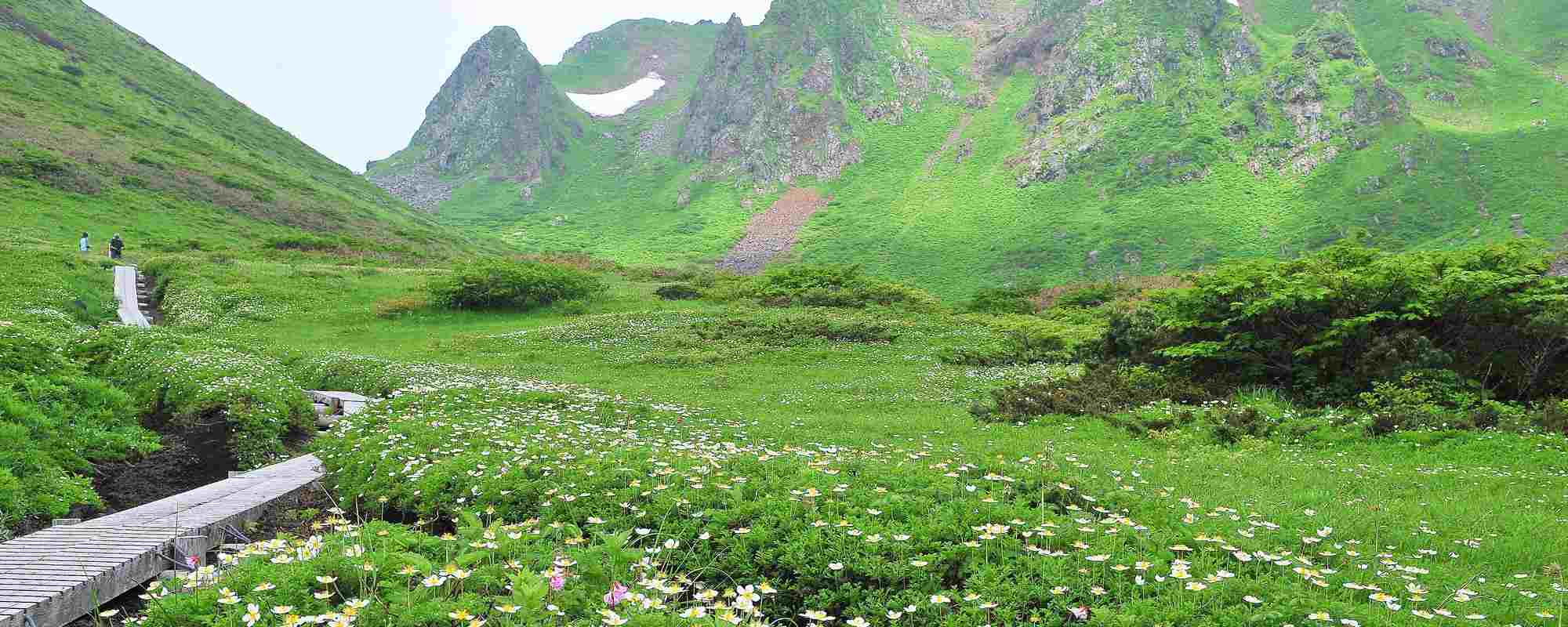 秋田駒ヶ岳