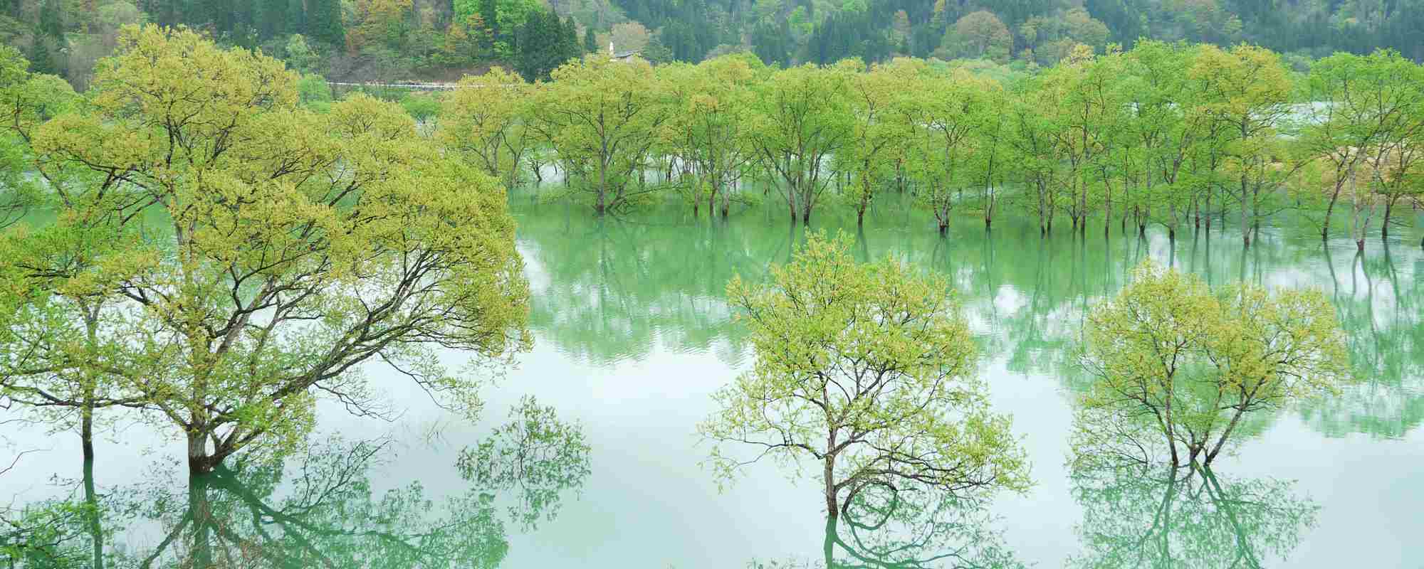 白川湖